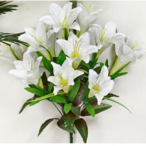 Διακοσμητικά Λουλούδια Σύνθεση Λίλιουμ Λευκό