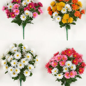 Διακοσμητικά Λουλούδια Σύνθεση Μαργαρίτα