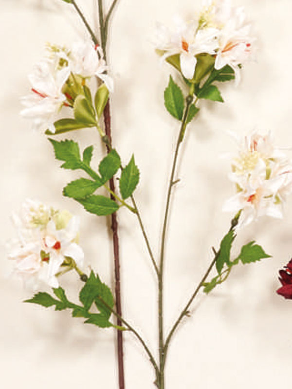 Διακοσμητικά Λουλούδια Κλαδί Αμαρυλλίς (38027) - Image 5