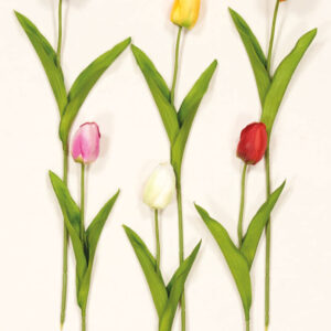 Διακοσμητικά Λουλούδια Κλαδί Τουλίπα (38025)