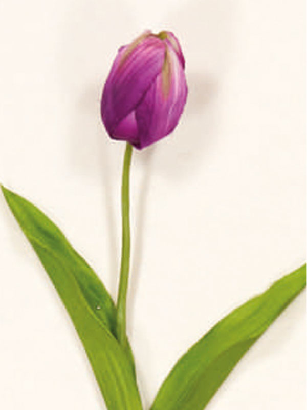 Διακοσμητικά Λουλούδια Κλαδί Τουλίπα (38025) - Image 4