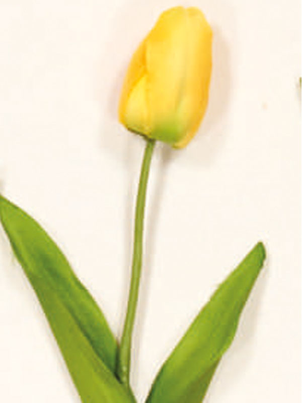 Διακοσμητικά Λουλούδια Κλαδί Τουλίπα (38025) - Image 3