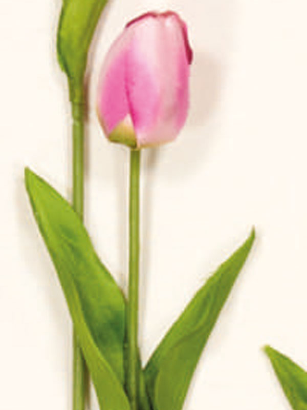 Διακοσμητικά Λουλούδια Κλαδί Τουλίπα (38025) - Image 7