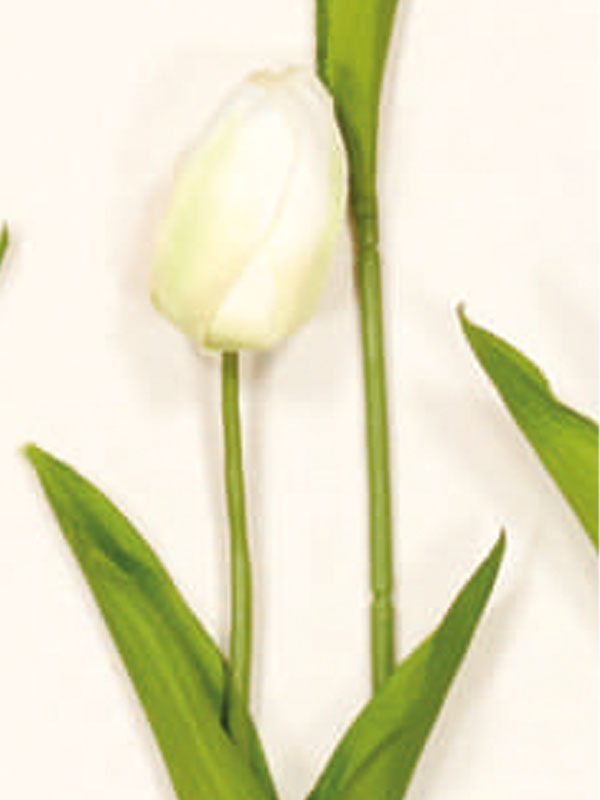 Διακοσμητικά Λουλούδια Κλαδί Τουλίπα (38025) - Image 6