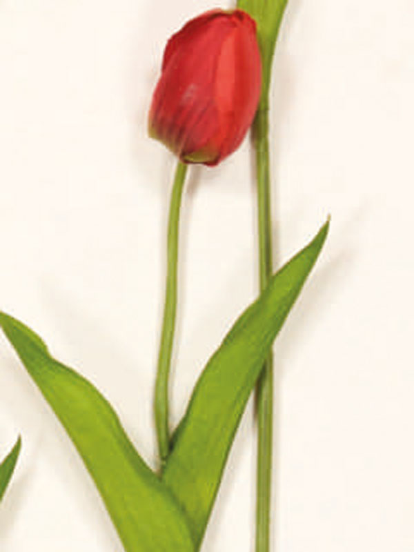 Διακοσμητικά Λουλούδια Κλαδί Τουλίπα (38025) - Image 5