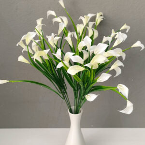 Διακοσμητικά Λουλούδια Ρίζα Καλάκια (35112)