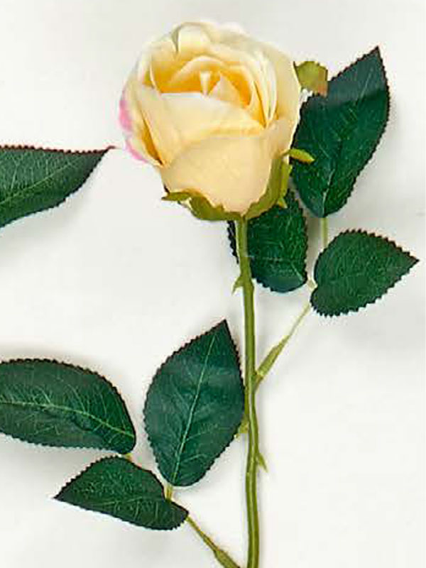 Διακοσμητικά Λουλούδια Κλαδί Τριαντάφυλλο (38004) - Image 4