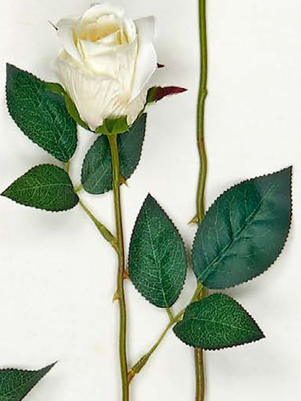Διακοσμητικά Λουλούδια Κλαδί Τριαντάφυλλο (38004) - Image 3