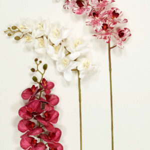 Διακοσμητικά Λουλούδια Κλαδί Ορχιδέα (38023)