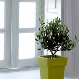 Γλάστρα Πλαστική Linea No 572